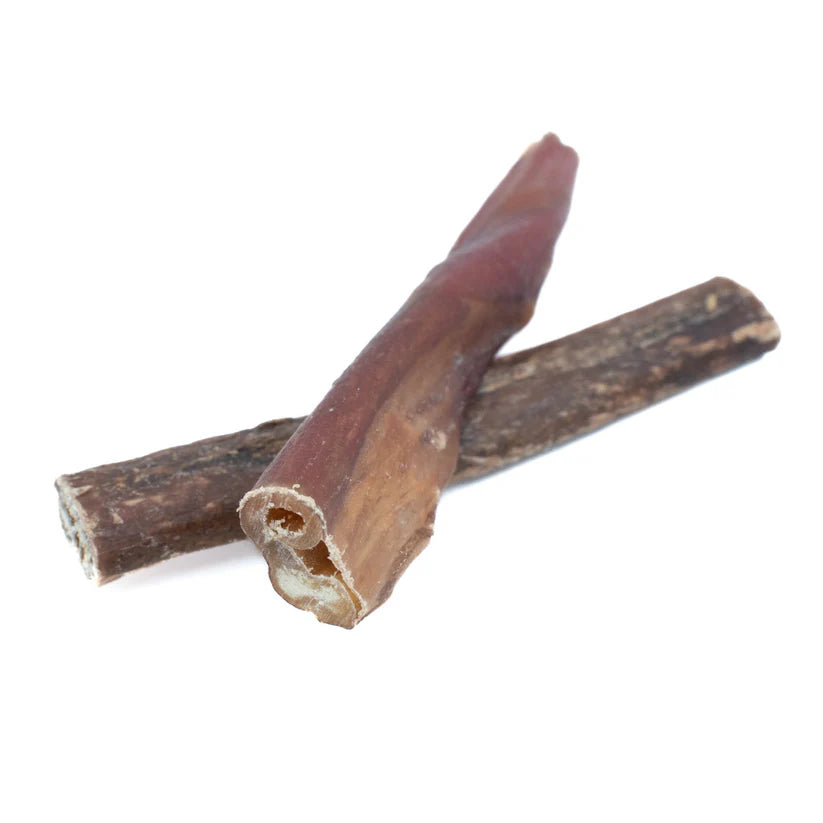 Medium Bully Wrapped Collagen Stick (10g)