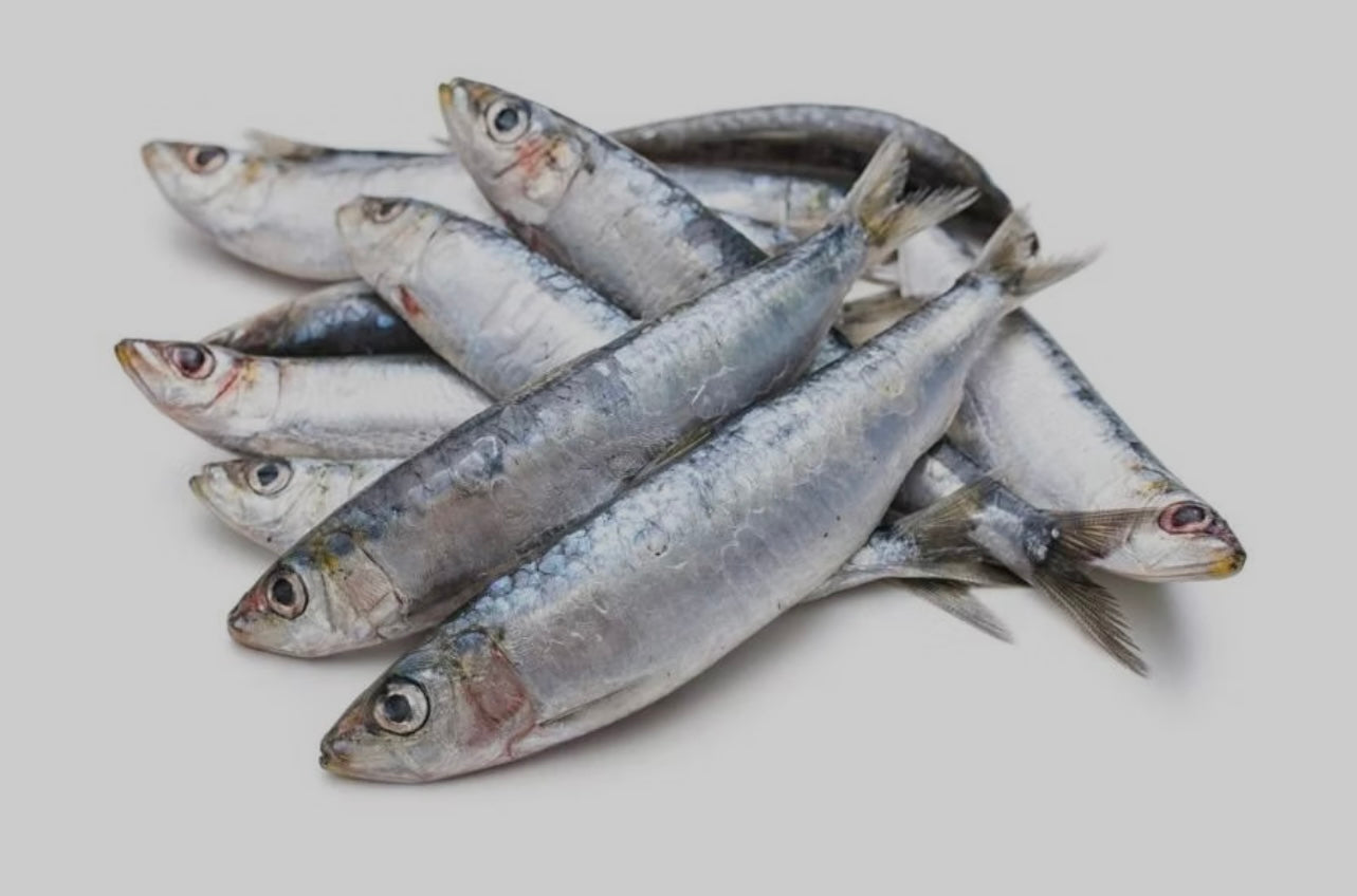Whole Sardines - 750 grams