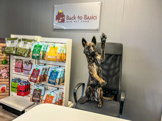 Back to Basics Store