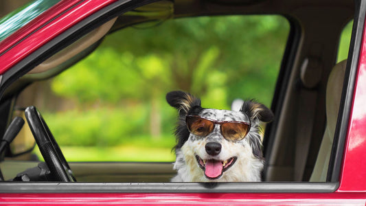 Out of Town Delivery information