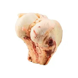 Bison Knuckle Bone  - NEW!