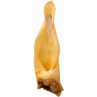 Lamb Ear - single